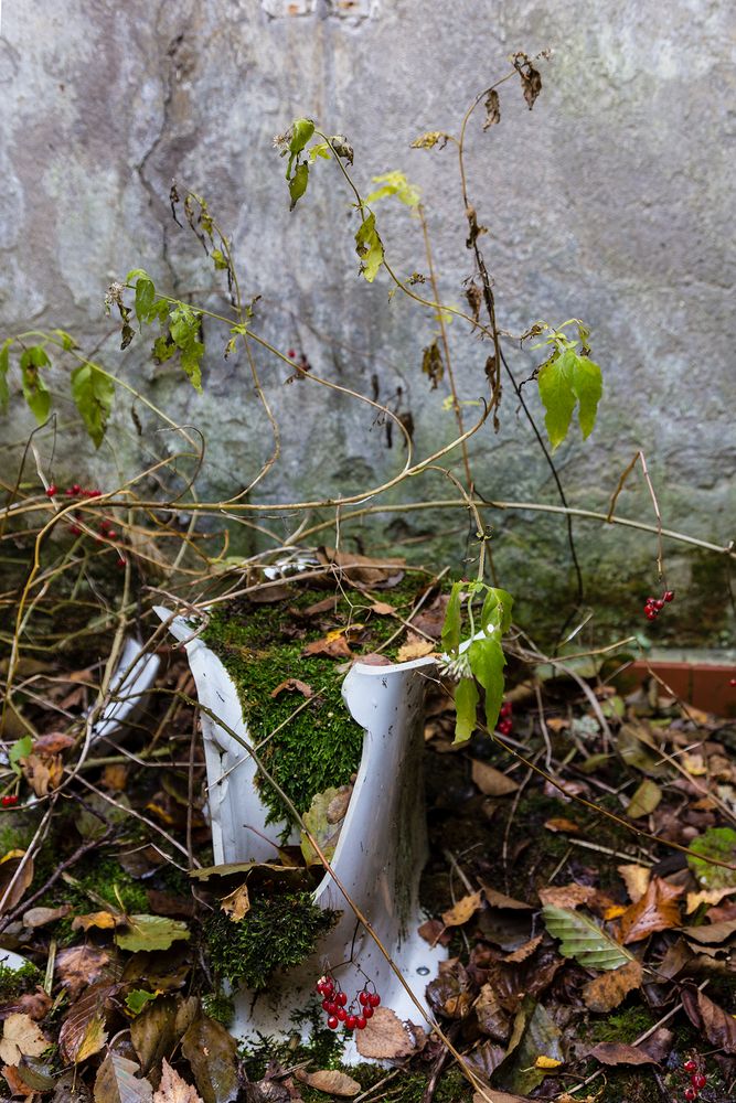 Verlassenes stilles Örtchen