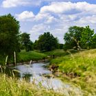 Verlauf der Nidda in Frankfurt, „Frankfurter GrünGürtel“