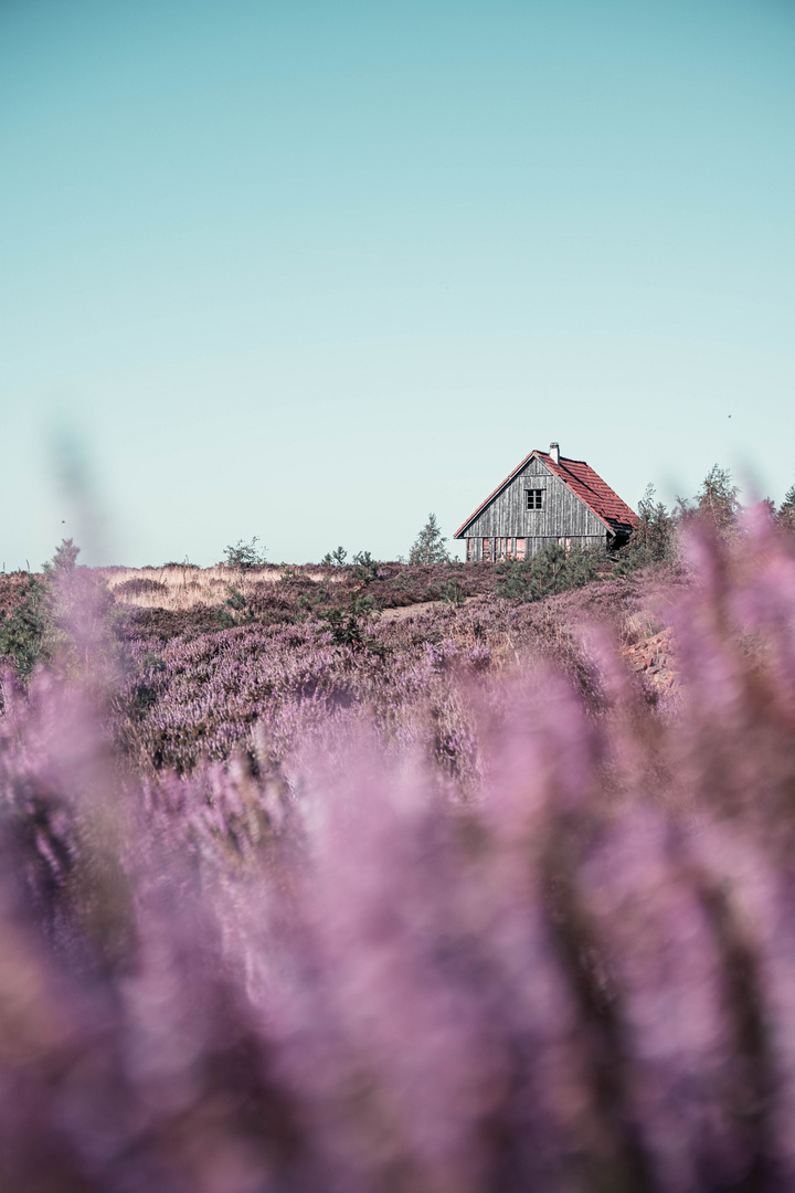 Verlaufen im Harz