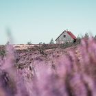 Verlaufen im Harz