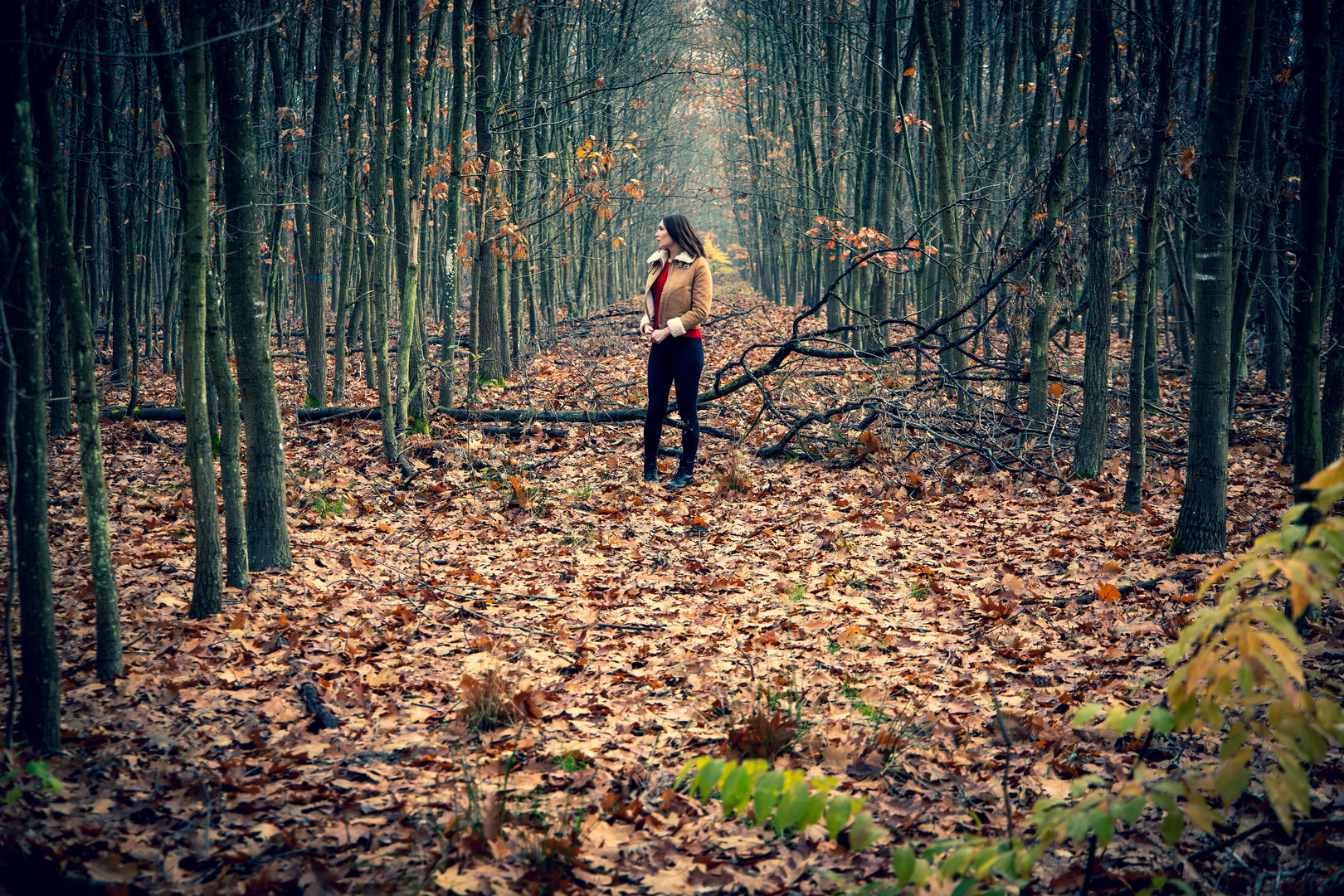 Verlaufen im Herbstwald...