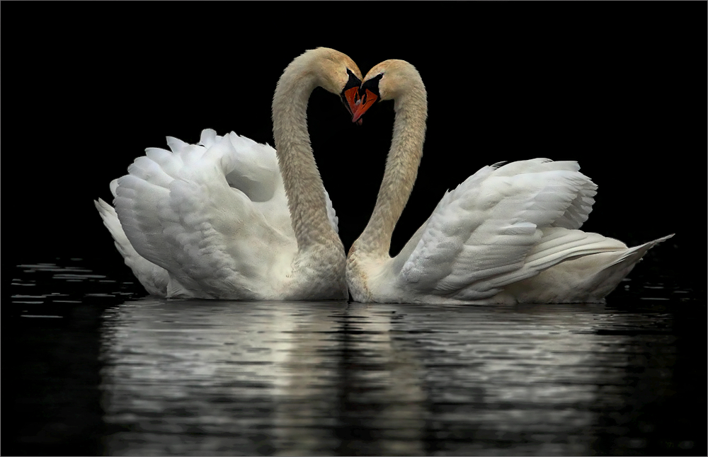 Bilder Verliebt Bilder Verliebt