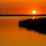 "Verliebt beim Sonnenuntergang"