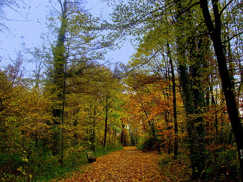 Verliebt in den Castroper Herbst 2