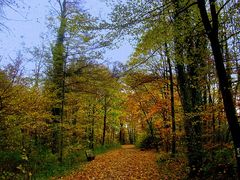 Verliebt in den Castroper Herbst 2