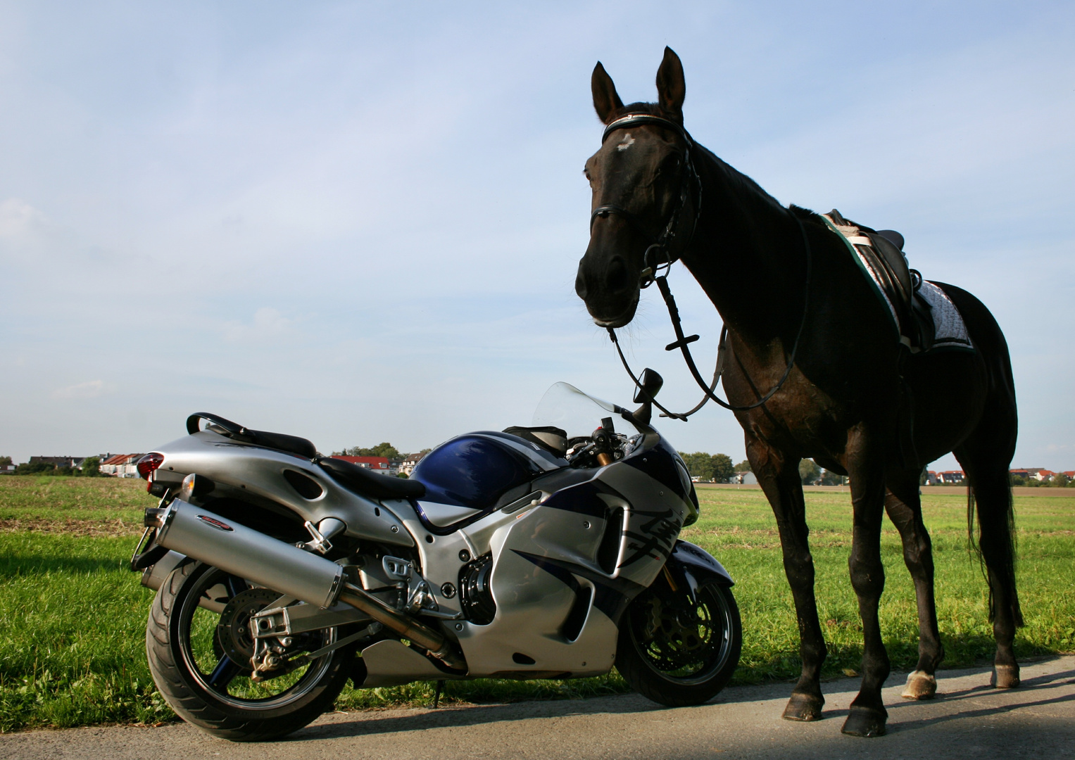 verliebt in die Hayabusa...