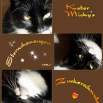 Verliebt in Kater Micky