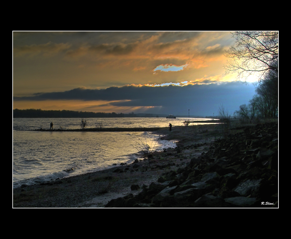 Verliebt sein am Rhein