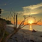 Verliebt verlobt verheiratet....Romanze auf Hiddensee