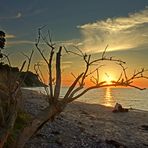 Verliebt verlobt verheiratet....Romanze auf Hiddensee