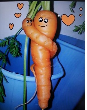 verliebte Karotten ; )