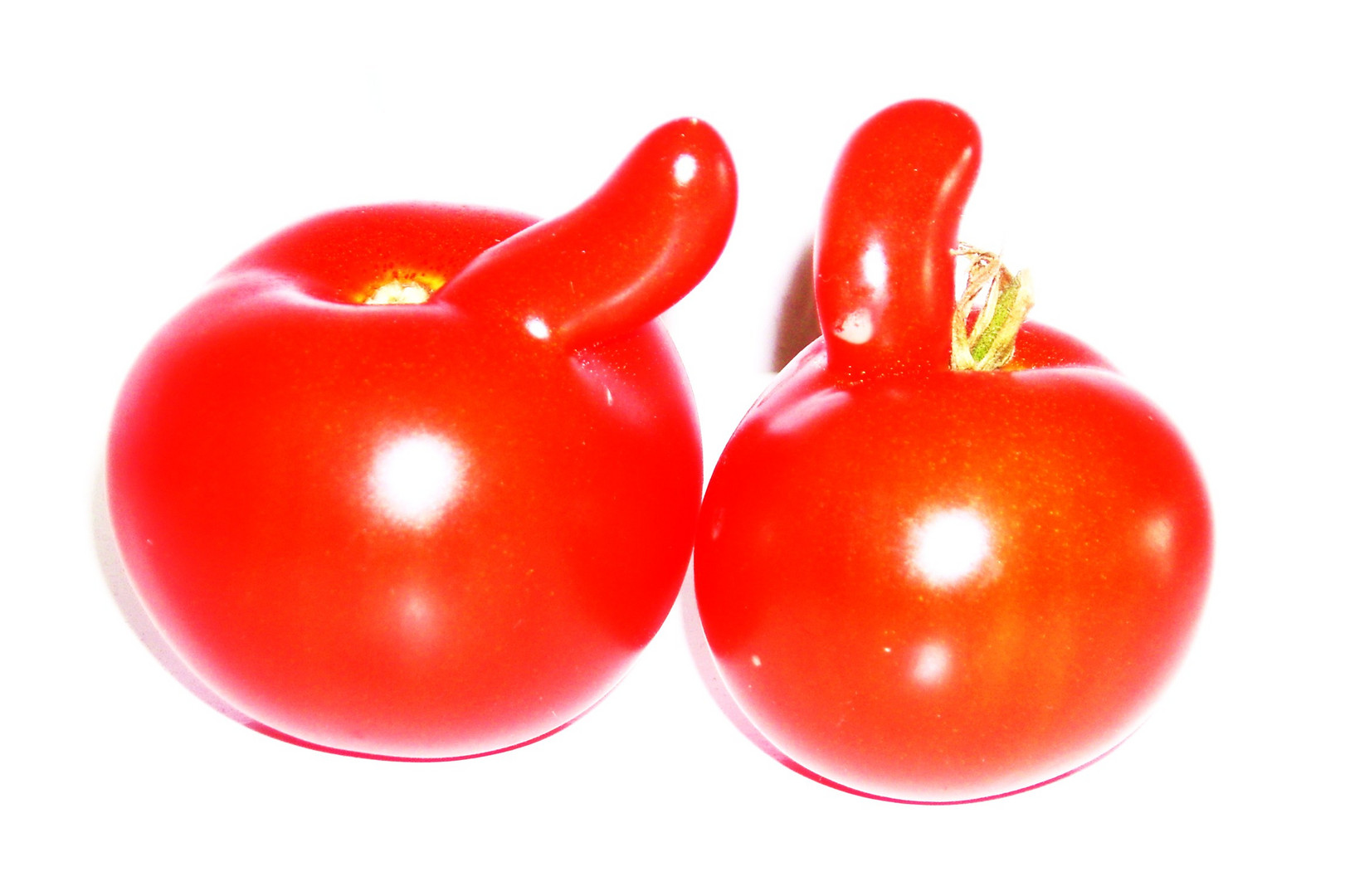 verliebte Tomaten