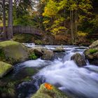 Verlobungsinsel im Harz