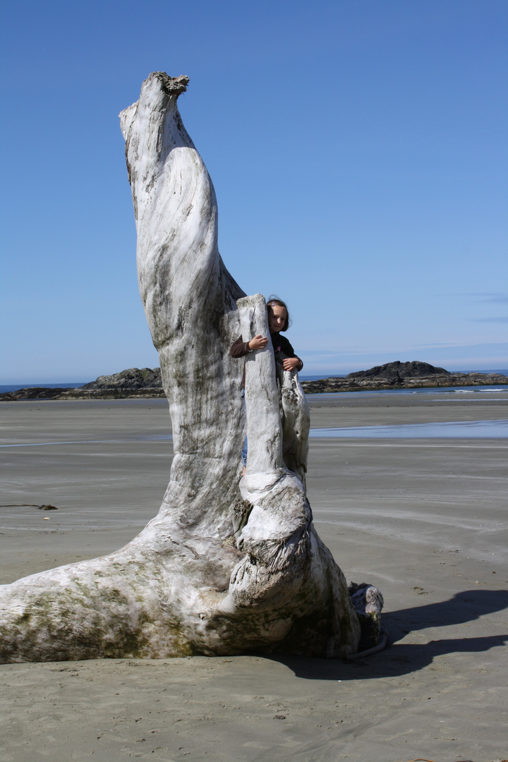 Verloren am Strand