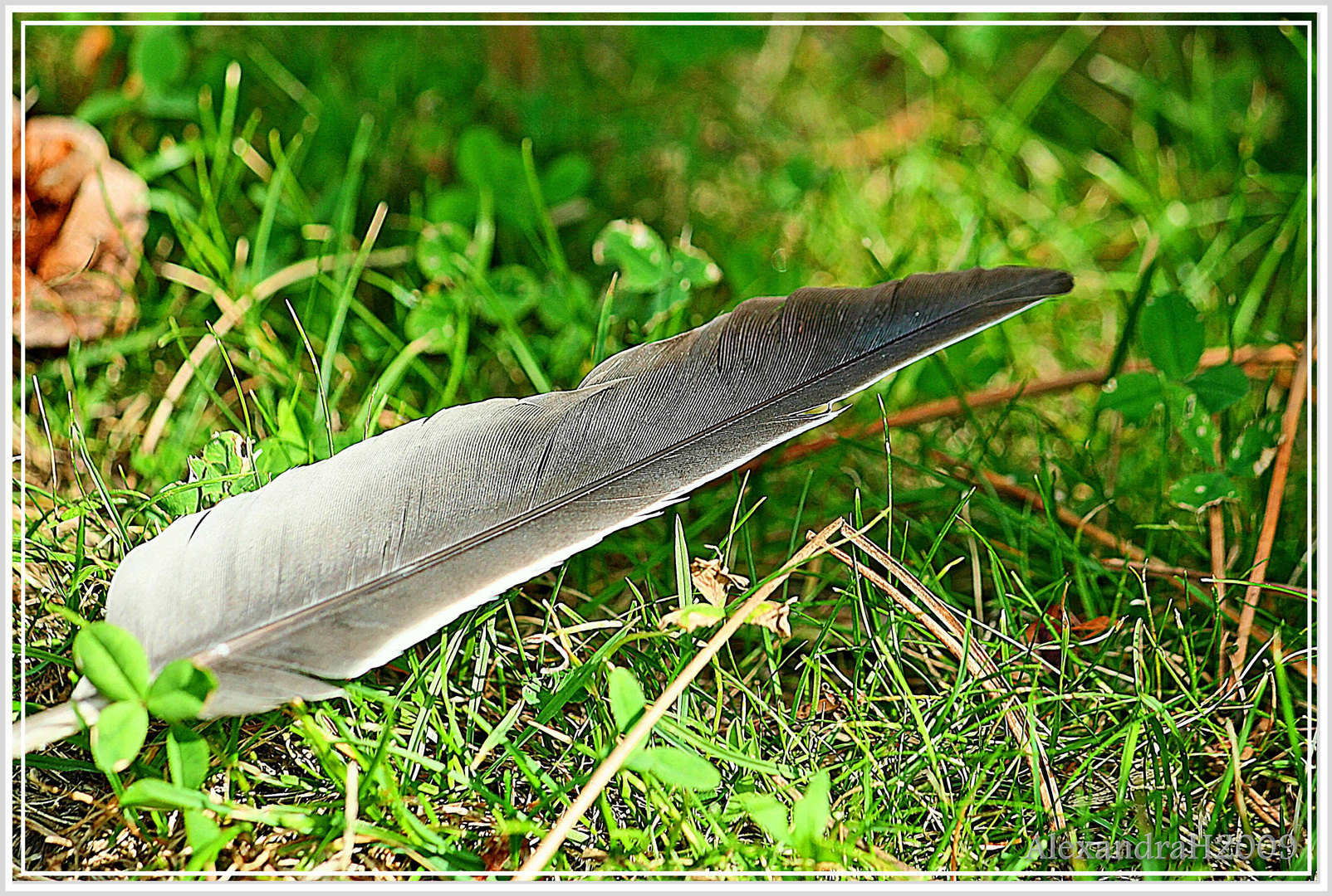 Verloren am Wegesrand