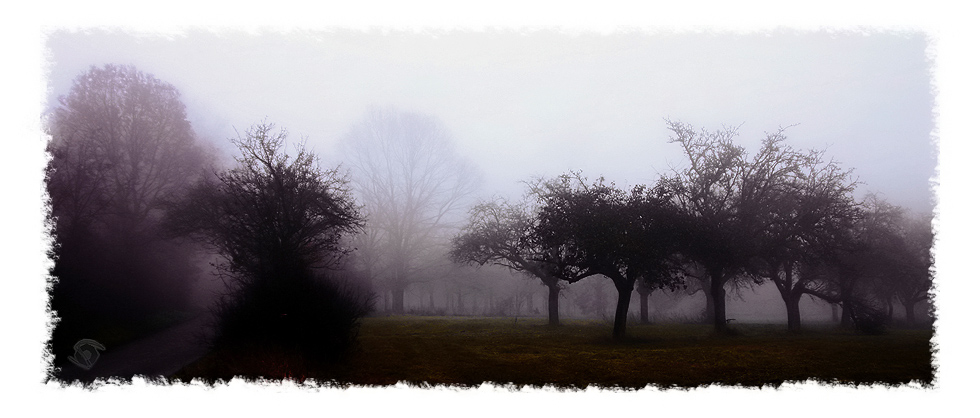 Verloren im Nebel