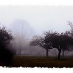 Verloren im Nebel