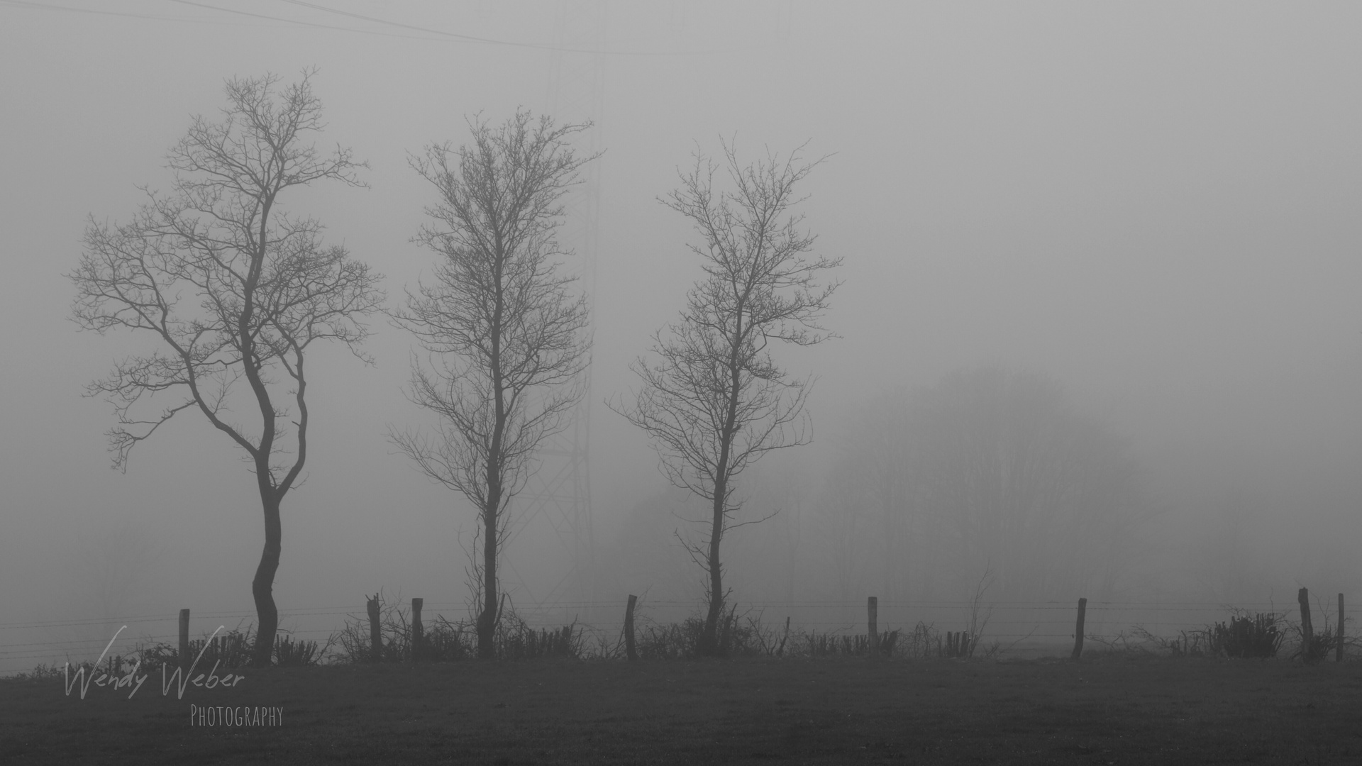 ...verloren im Nebel...