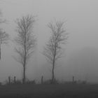 ...verloren im Nebel...