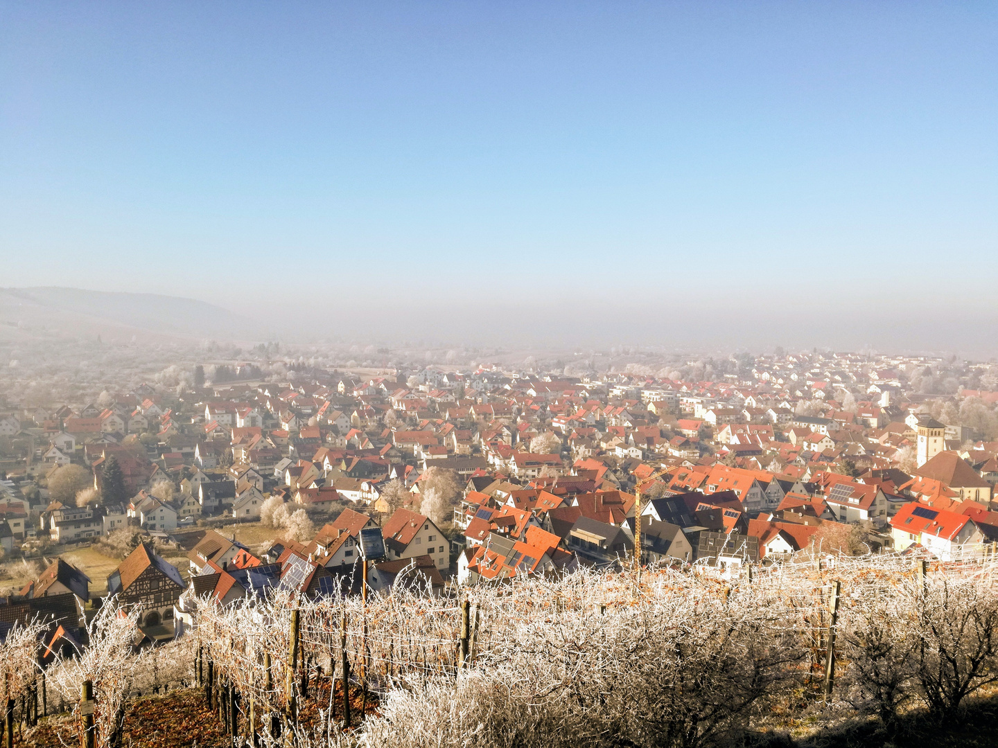 Verloren im Nebel