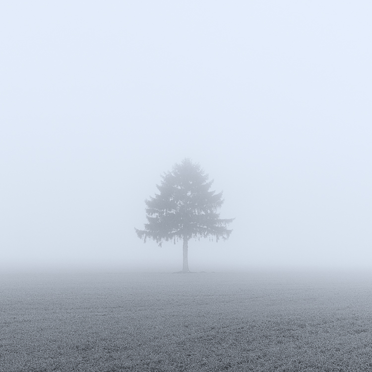 Verloren im Nebel