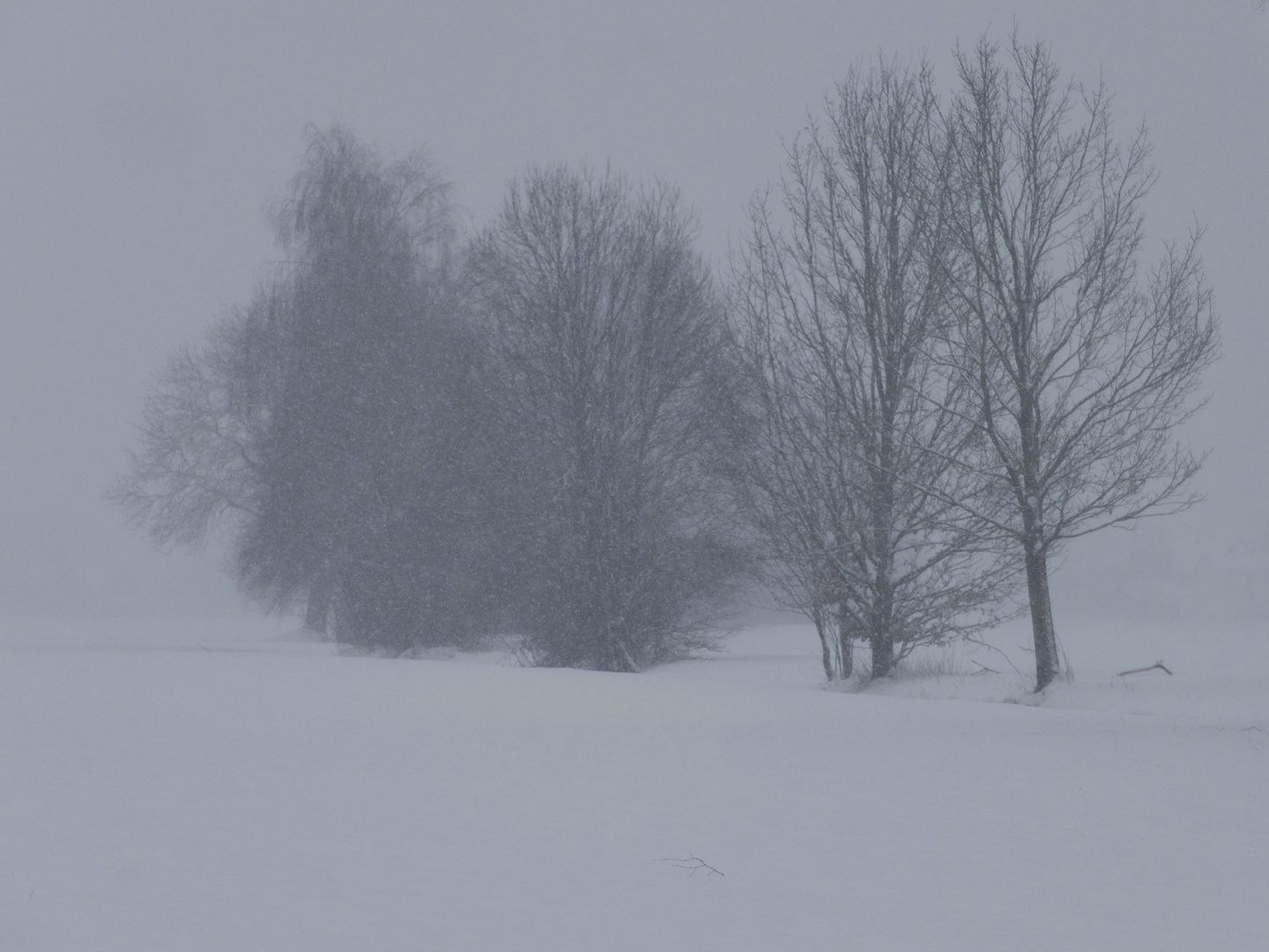 Verloren im Schneefall und Nebel