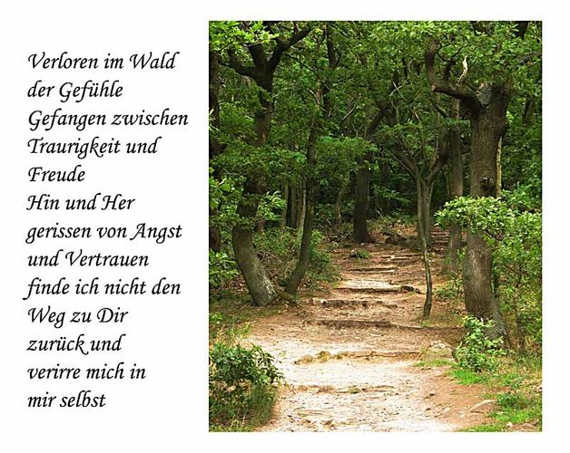 Verloren im Wald der Gefühle