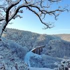 Verloren im Winterwunderland