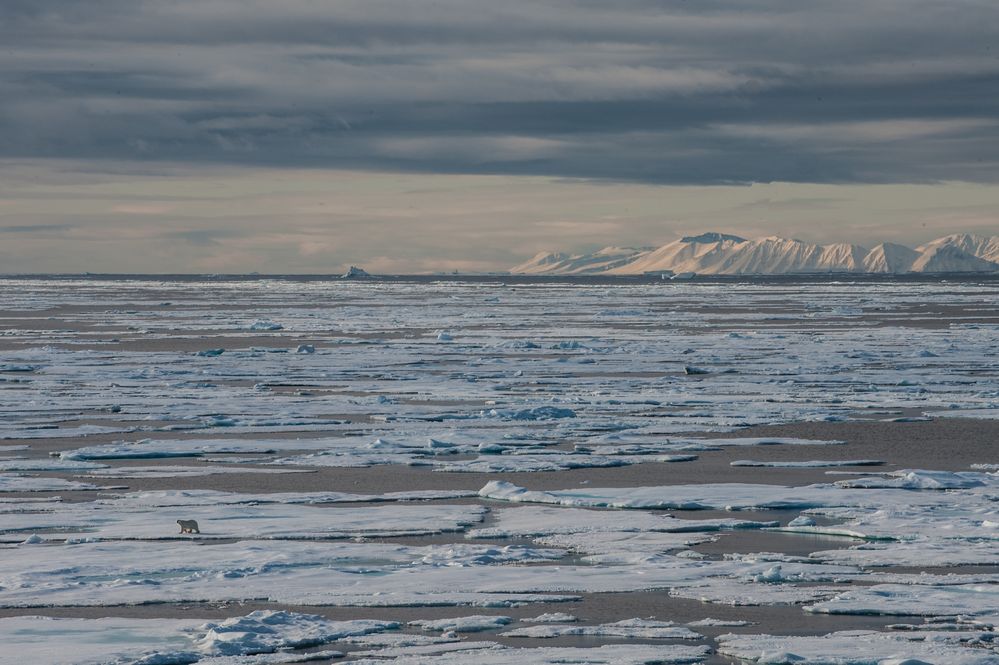 Verloren in der Eiswüste