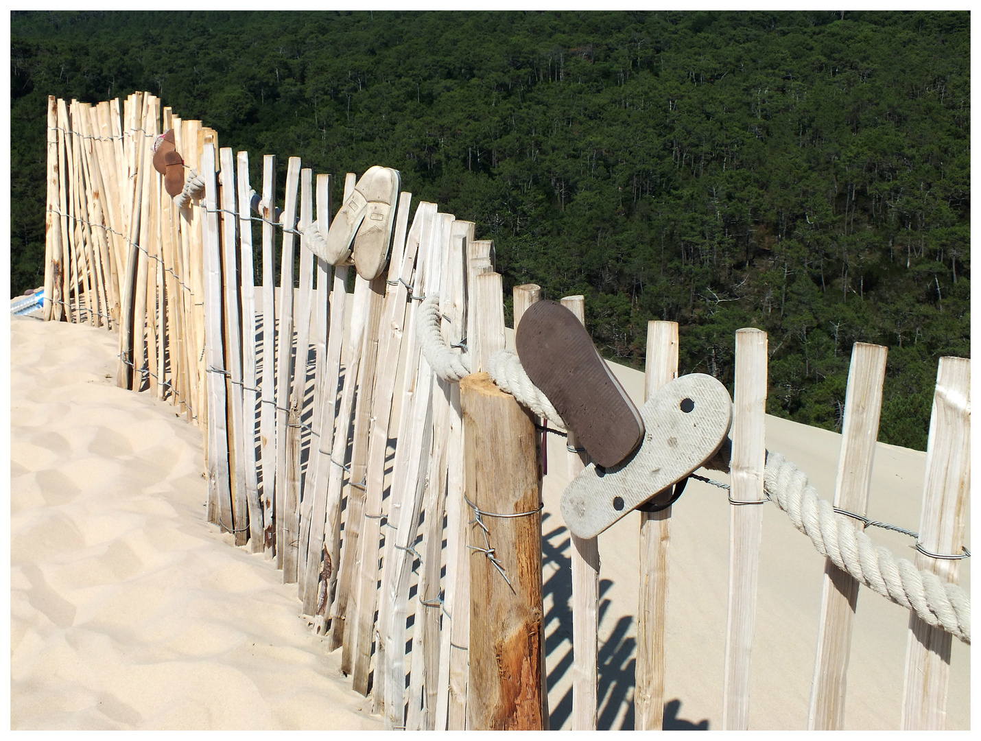 Verloren und vergessen - Perdu et oublié - Dune du Pilat (V)