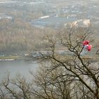 Verlorene Luftballons