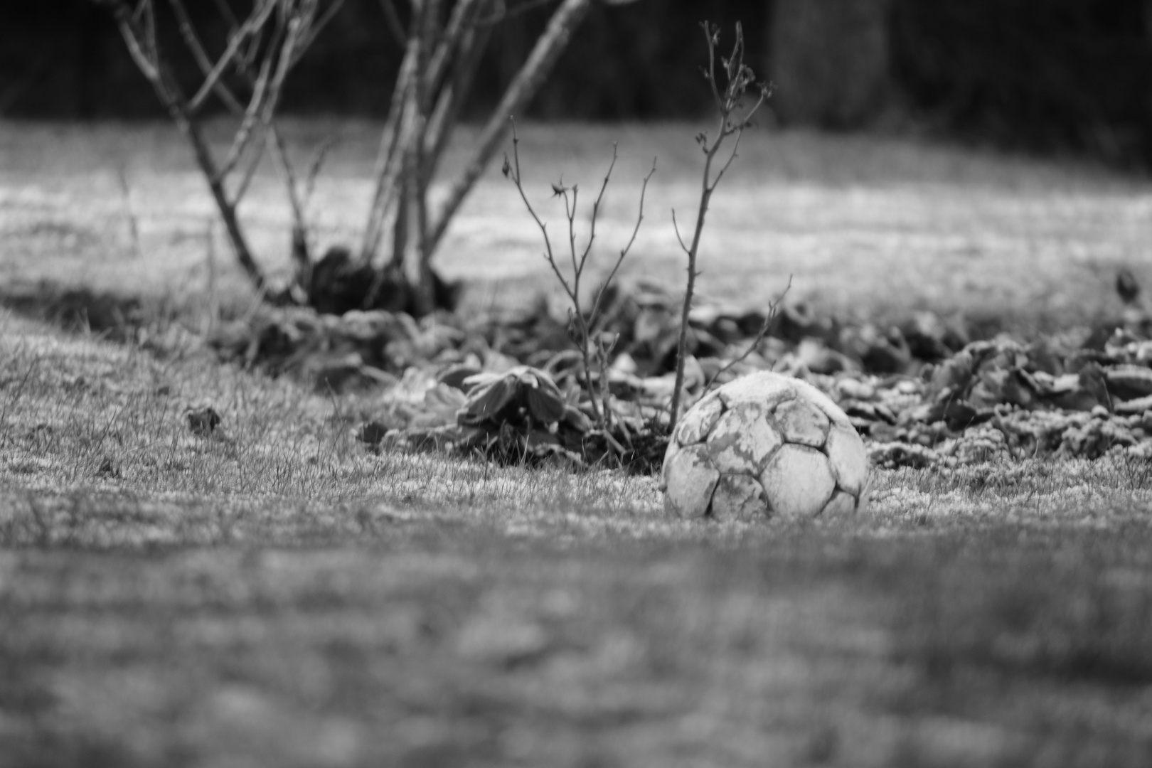 ...verlorener Fußball