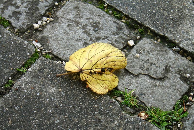 Verloren...verlassen...vergessen