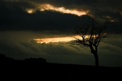 Vermächtnis der Sonne