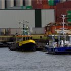 Vermessungsboote / Antwerpen