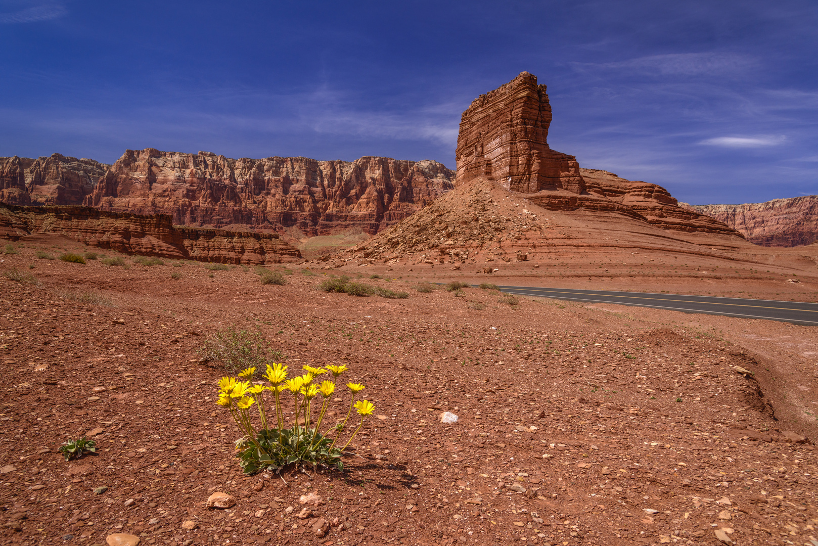 Vermilion Cliffs, Arizona, USA