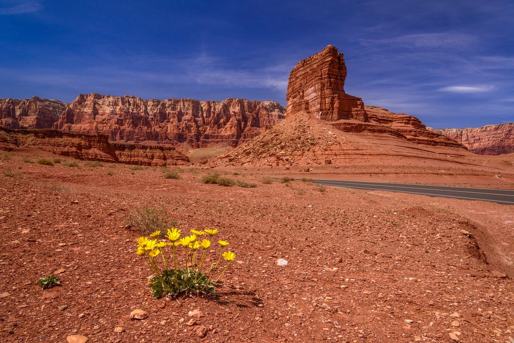 Vermilion Cliffs, Arizona, USA