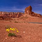 Vermilion Cliffs, Arizona, USA