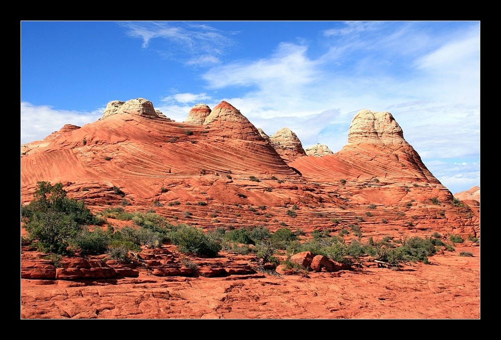 Vermilion Cliffs Wilderness 4