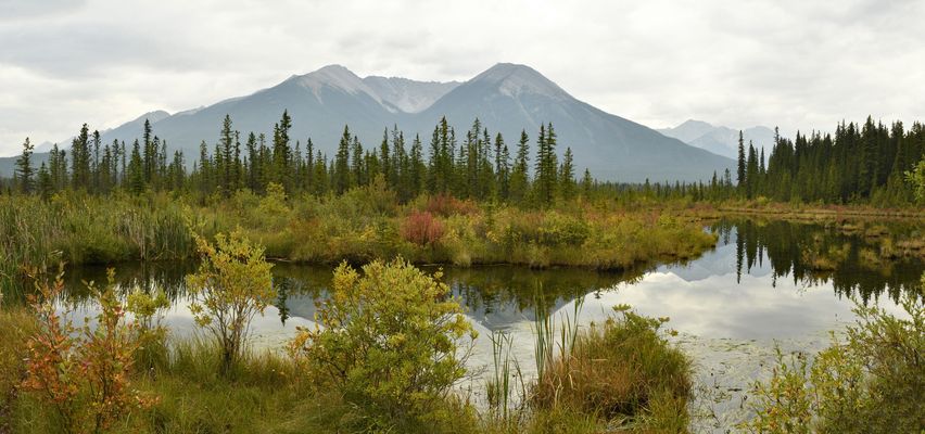 Vermilion Lakes