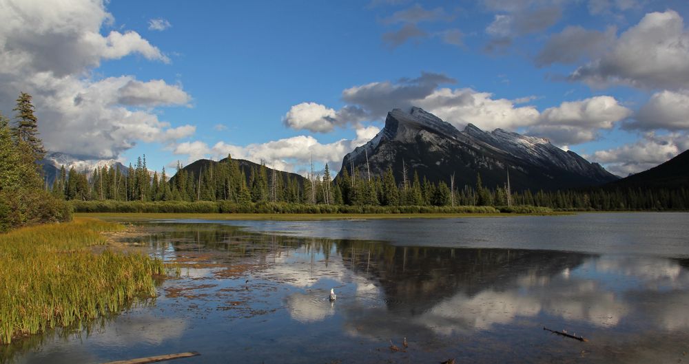 Vermilion Lakes, Banff