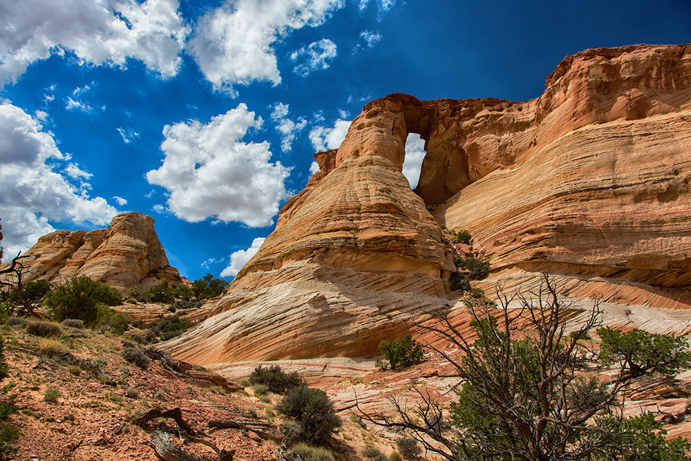 Vermillion Cliffs, Arizona: Hole in the Rock Arch