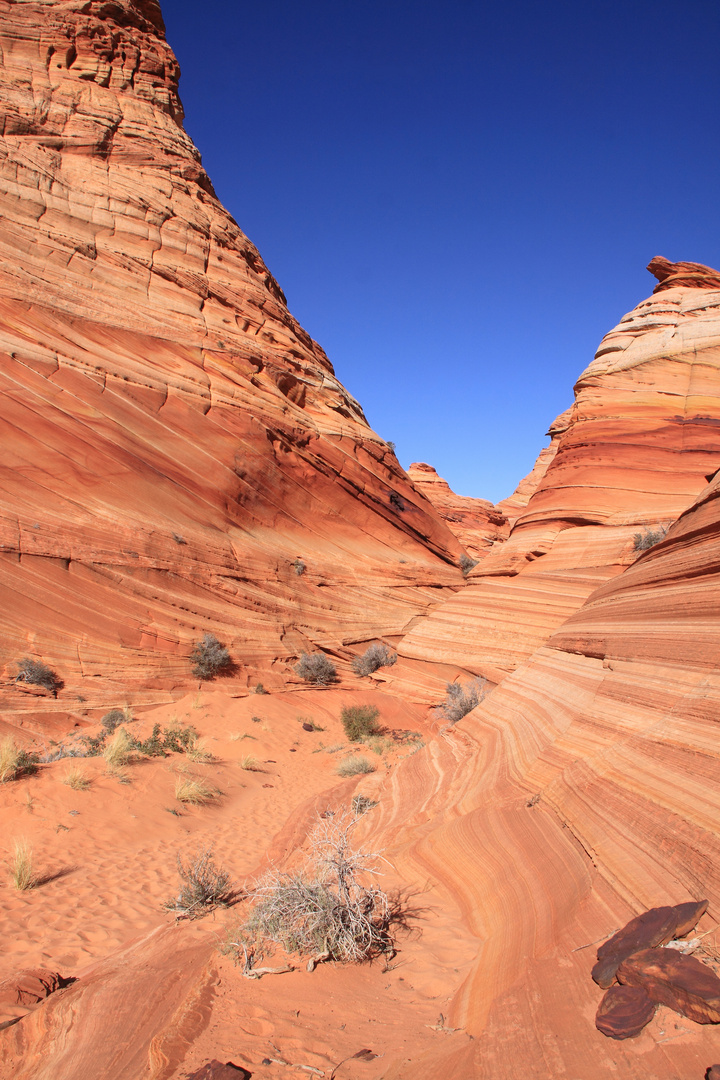 Vermillion Cliffs National Monument