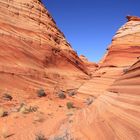 Vermillion Cliffs National Monument