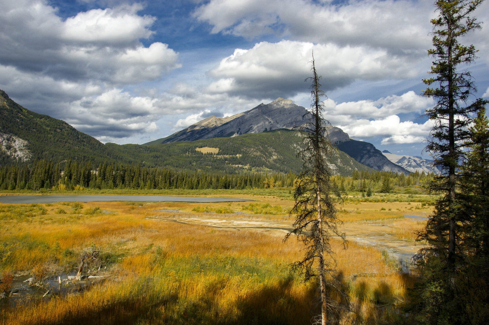 Vermillion Lakes bei Banff