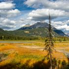 Vermillion Lakes bei Banff