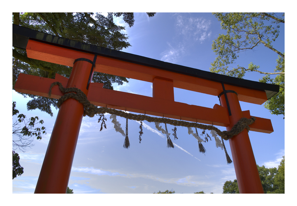 Vermillion torii