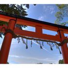 Vermillion torii