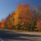 Vermont / Indian Summer