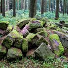 Vermooste Steine im Wald von Seewald-Besenfeld